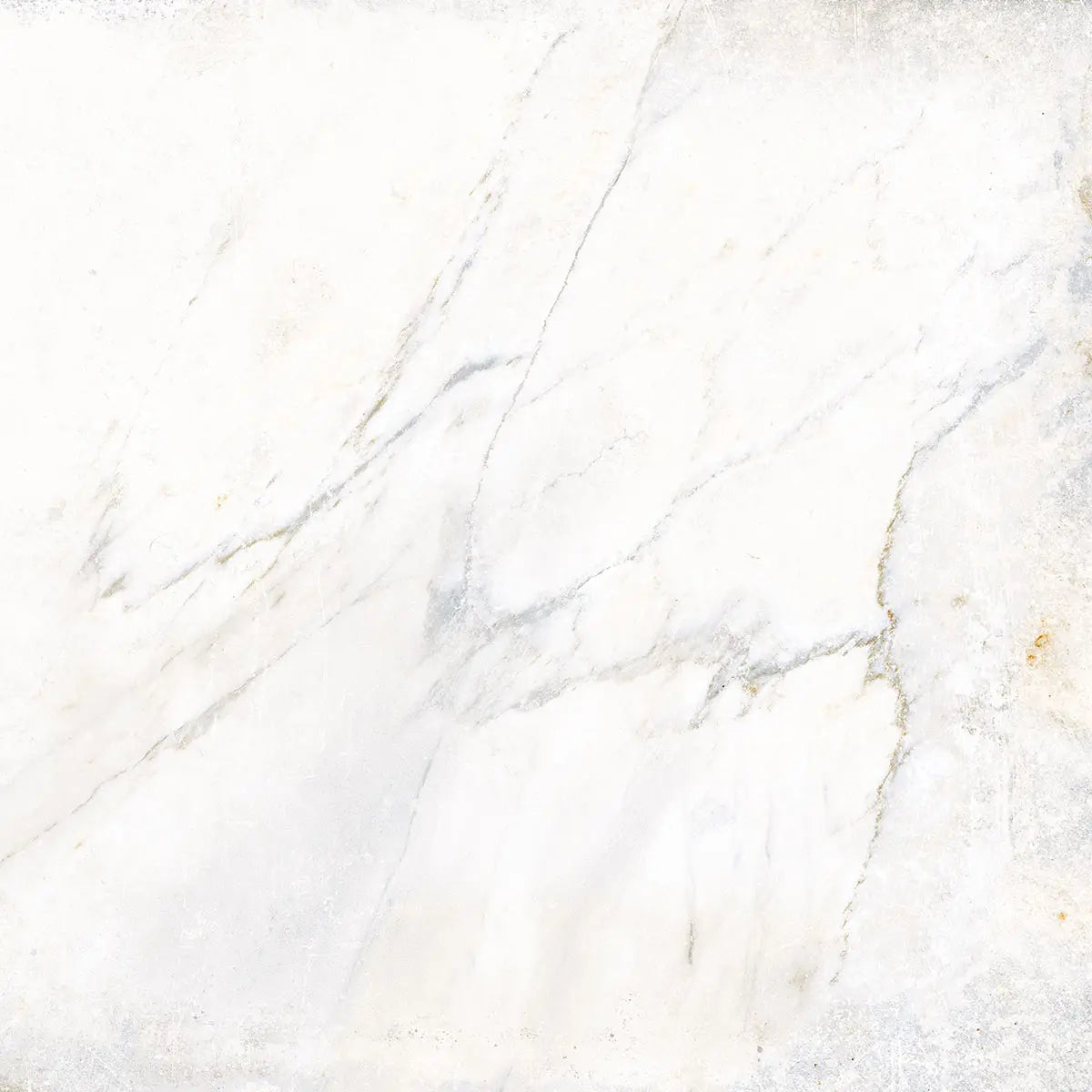 Porcelaine Antique Aurea de Centura — Bianco Navona